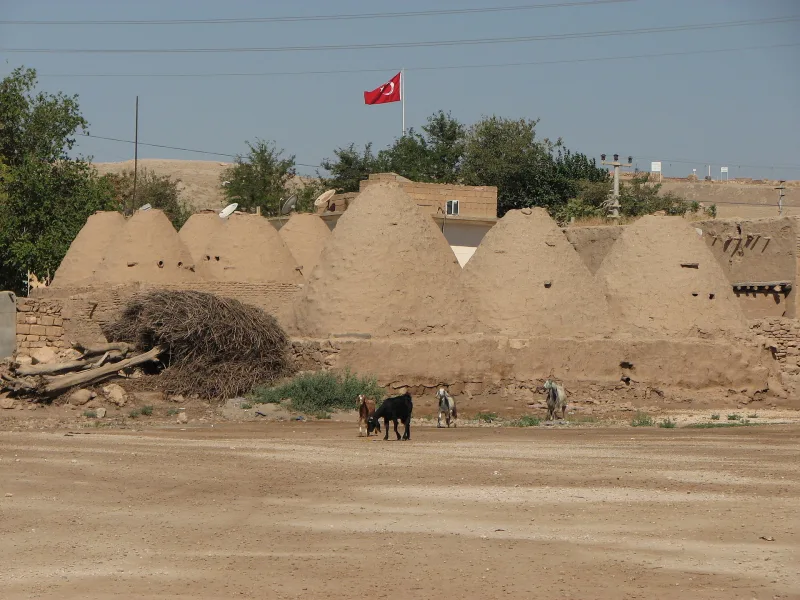 Harran: Bienenkorbhäuser und die antike Stadt in Şanlıurfa – Reiseführer für Südosttürkei